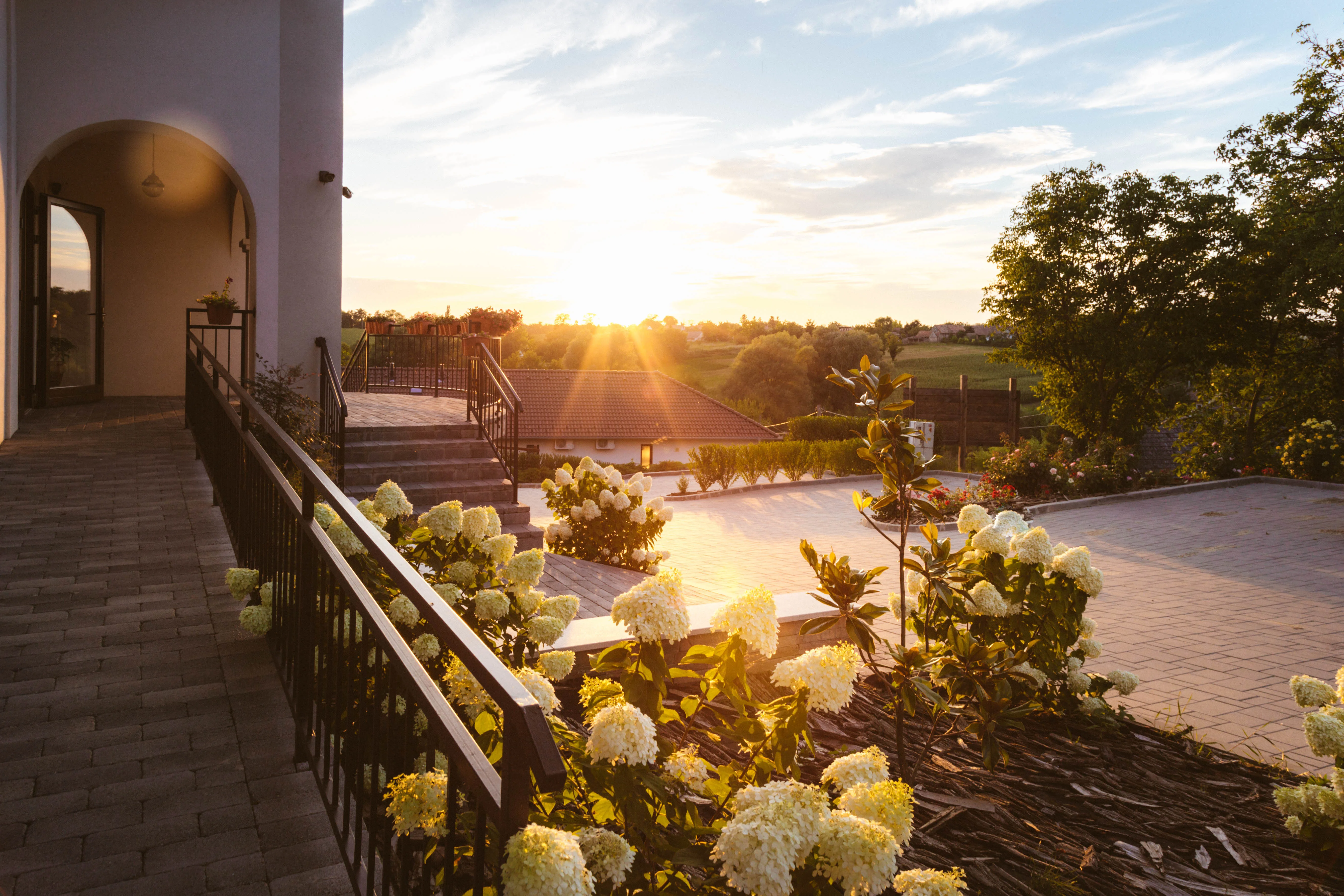 Resort terrace at sunset with blooming hydrangeas